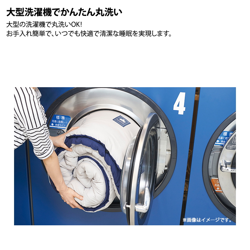 ���S�X(LOGOS) �~�j�o���s�b�^���Q�ܥ-2 BD