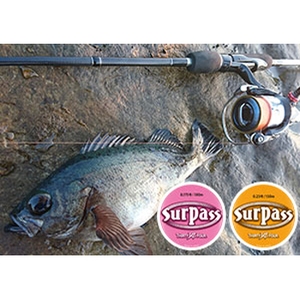 リマーカブル CER-62