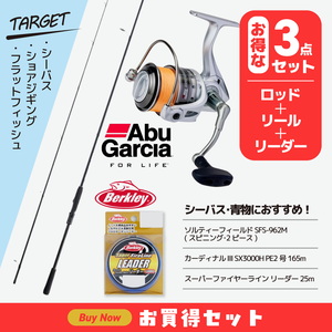 (アブガルシア)シーバス･ショアジギングエントリーセット(シーバス･青物におすすめ)