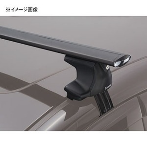	ＸＳ２５０　エアロベースステー　スムースルーフヨウ