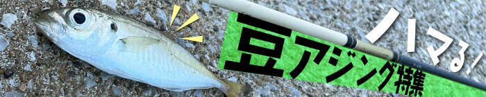 豆アジング特集