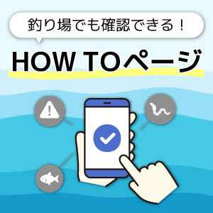 釣り場でも確認できる！便利なHow toページ
