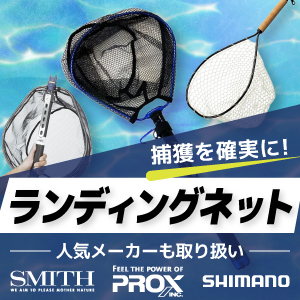 ランディングネット　landing net