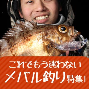 これでもう迷わないメバル釣り特集！
