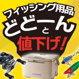 フィッシングクリアランスセール