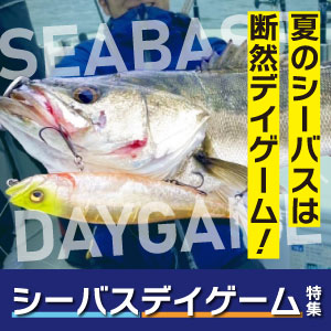 シーバスデイゲーム特集