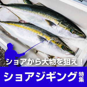ショアジギング特集