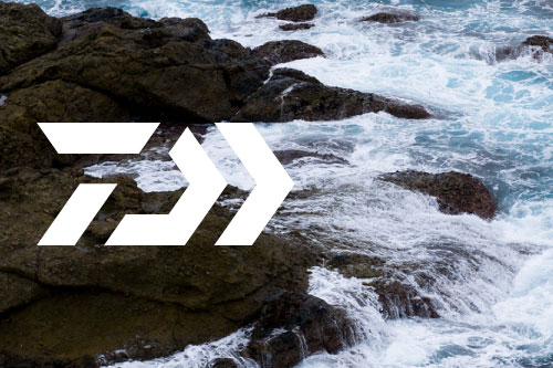 ダイワ新商品続々入荷