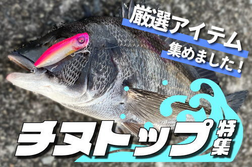チヌトップ特集