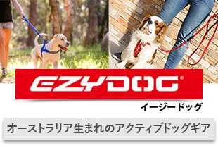 EZYDOG