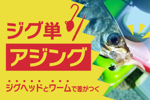 ジグ単アジング　おすすめアイテム特集