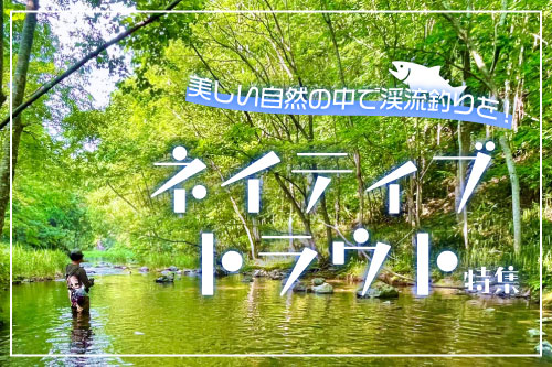 ネイティブトラウト特集