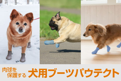 犬用ブーツパウテクト