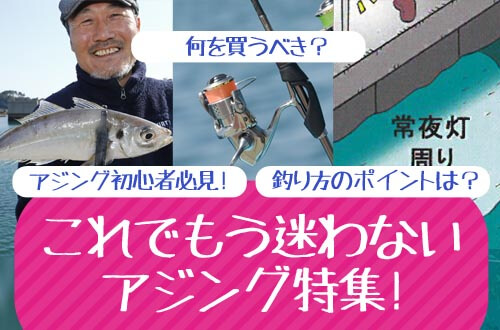 初心者必見！これでもう迷わないアジング！