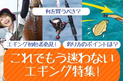 初心者必見！これでもう迷わないエギング！