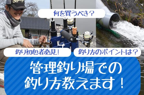 管理釣り場での釣り方教えます！釣り初心者必見！何を買うべき？釣り方のポイントは？