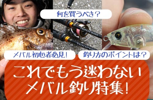 これでもう迷わないメバル釣り特集！メバル初心者必見！何を買うべき？釣り方のポイントは？