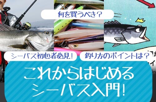 これからはじめるシーバス入門！