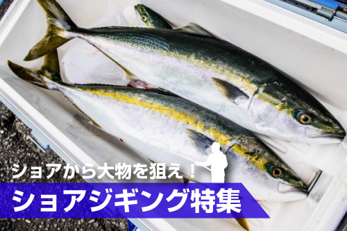 ショアジギングおすすめアイテム