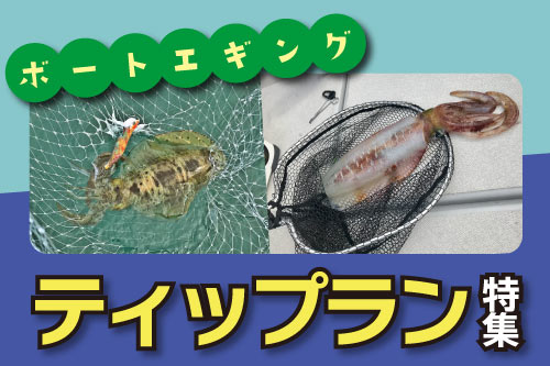 ティップラン　おすすめアイテム特集