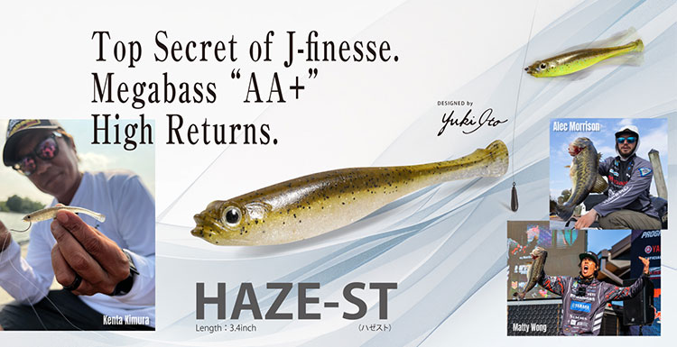 ＨＡＺＥ－ＳＴ（ハゼスト）