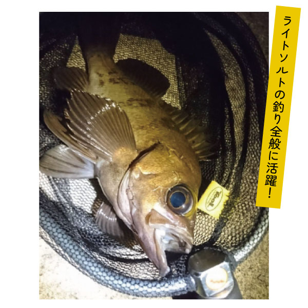 (ナチュラム限定)ちっさino(ちっさイーノ)Go-PhishXTOOLカスタム