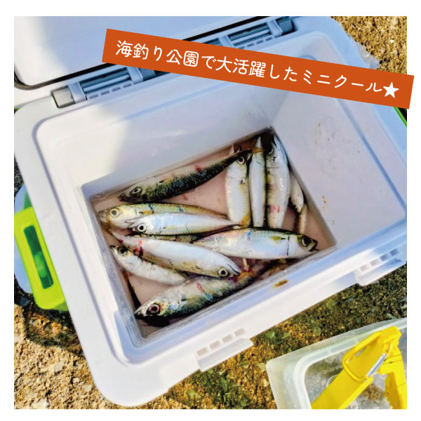 ミニクール S650