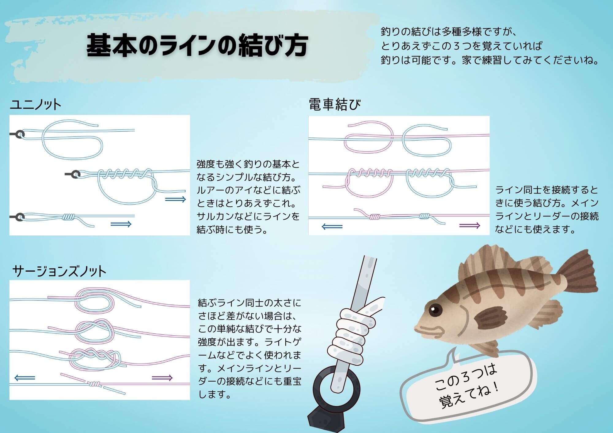 基本のラインの結び方