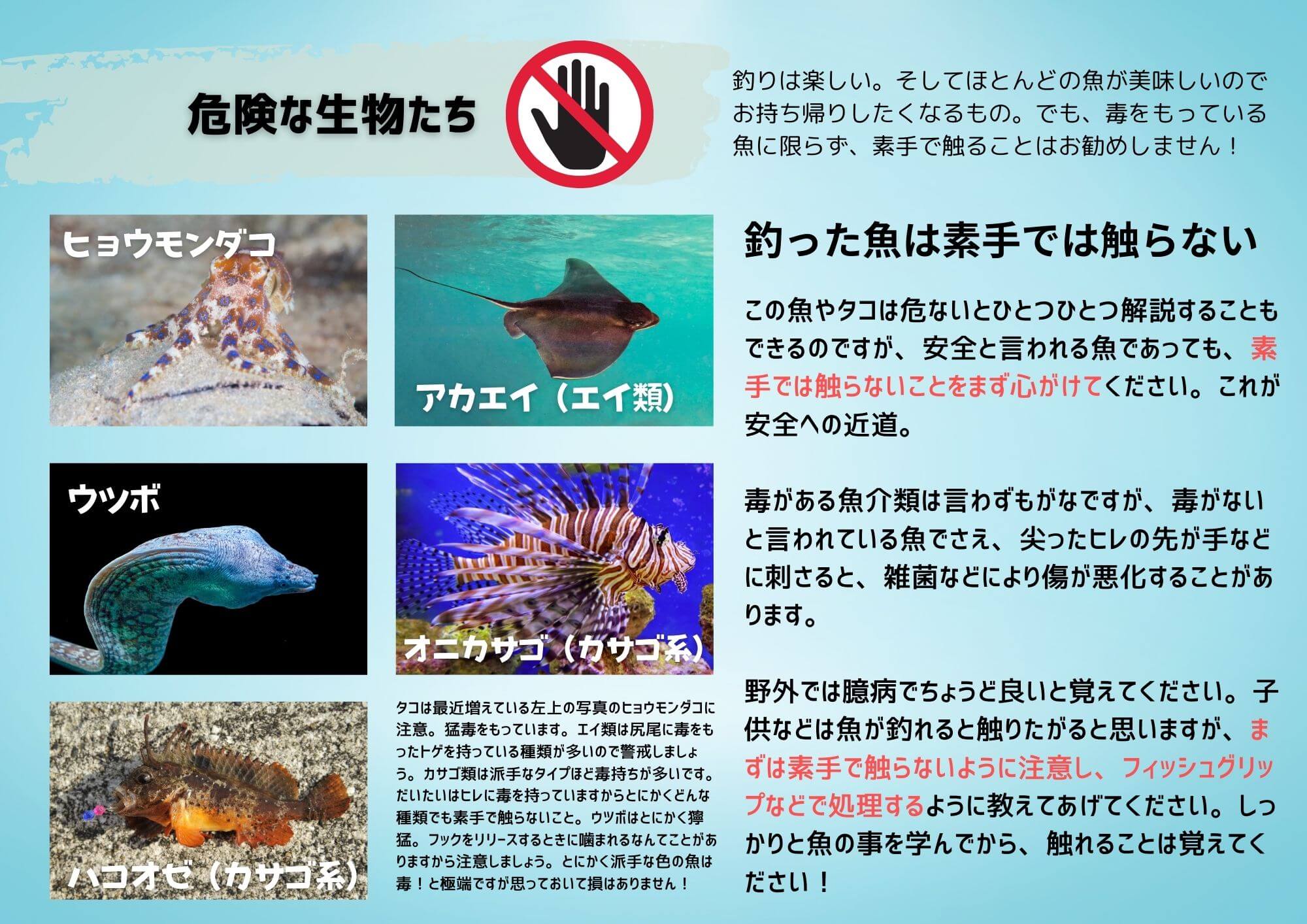 危険な生物たち