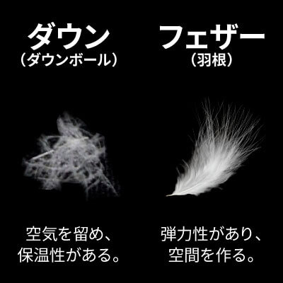 ダウンボールとフェザーの比較