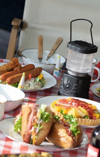 SUZUKI(スズキ) XBEE(クロスビー) × Hilander(ハイランダー) One Pole Tent(ワンポールテント)