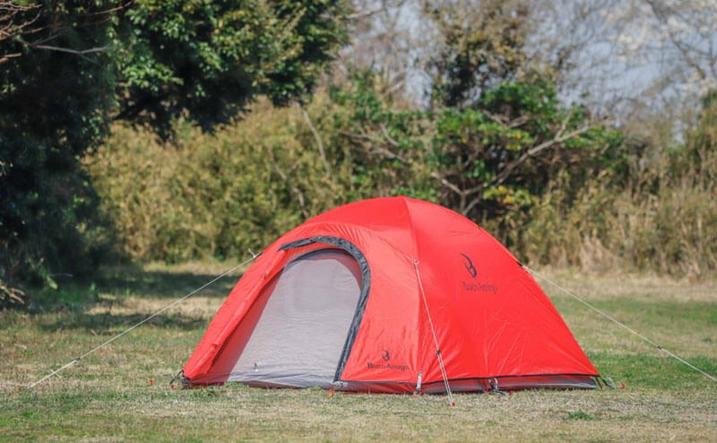 Buen Amigo(ブエンアミーゴ)ビートル