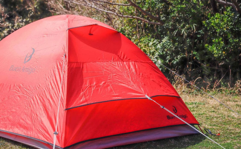 Buen Amigo(ブエンアミーゴ)ビートル