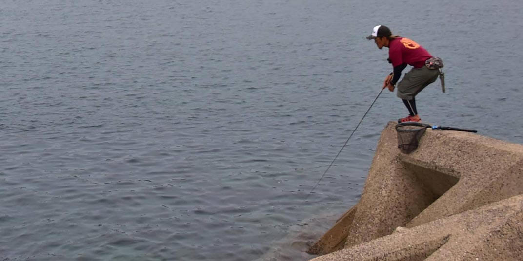 釣り方の応用編。ロッドアクション＋フォール！