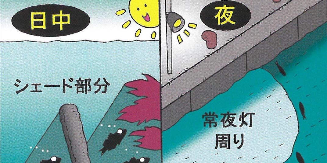 釣れやすい時間帯