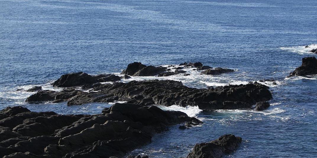 4.磯場でのデイゲーム