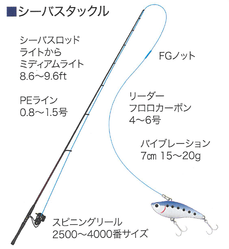 これだけは揃えよう！シーバスフィッシングに必要な道具と装備