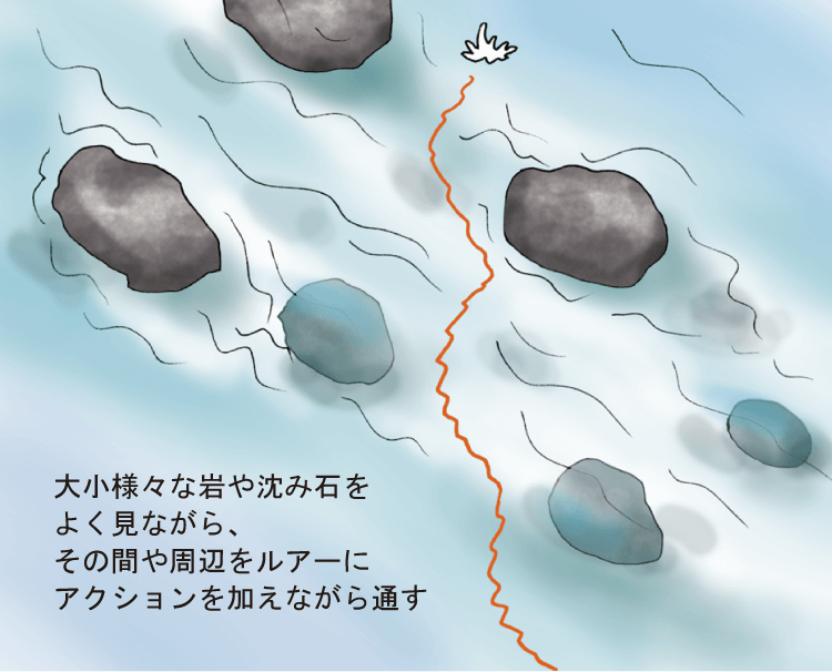 流れの変化や障害物の際をテンポ良く探っていこう