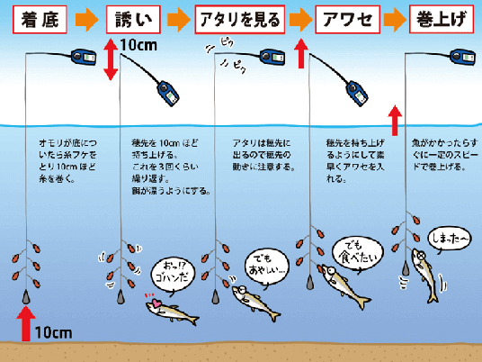 より具体的な釣り方のポイント！