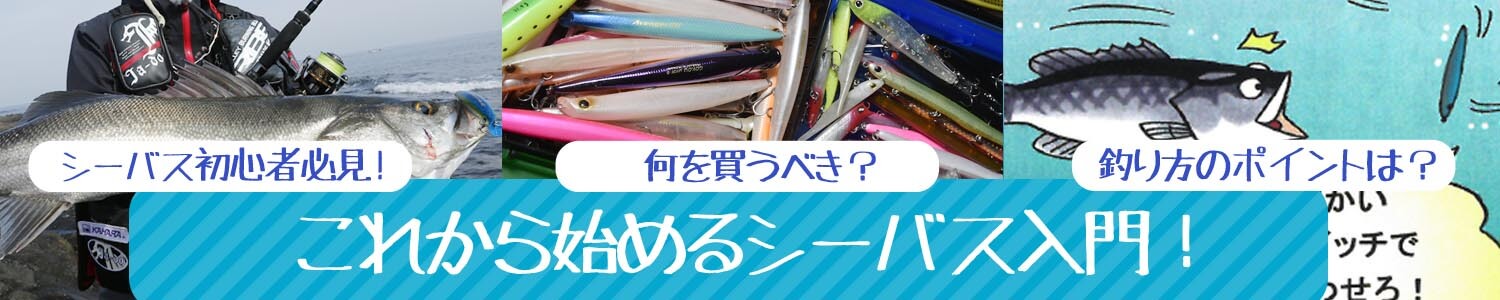 初心者必見！これから始めるシーバス入門！