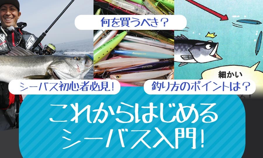 初心者必見！これから始めるシーバス入門！