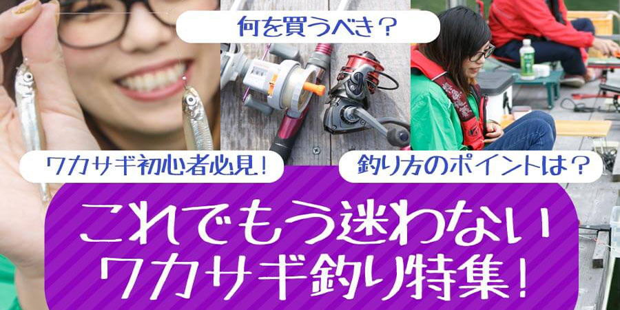初心者必見！これでもう迷わないワカサギ釣り！